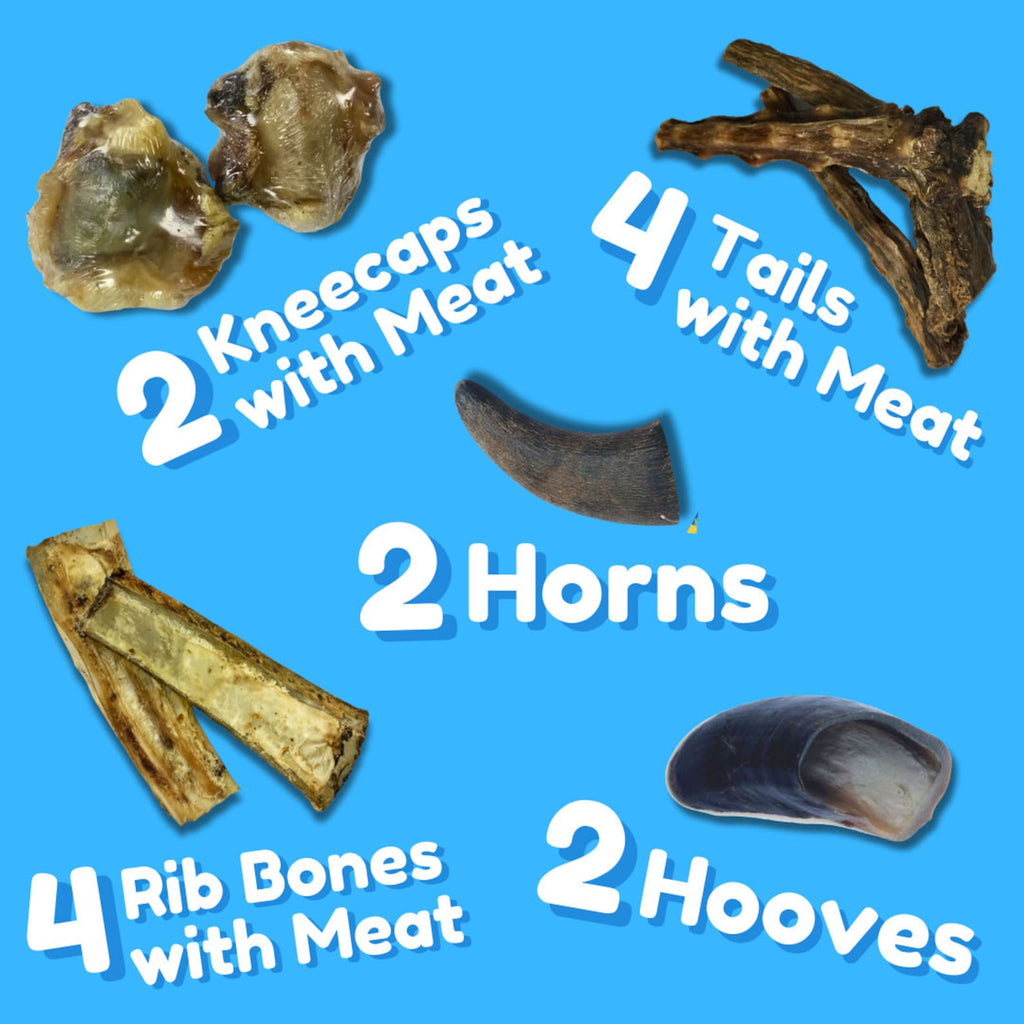 All-Natural Water Buffalo Dog Treat Pack – 12-Piece Grass-Fed. Hormone-Free Chews | Horns. Kneecaps. Rib Bones. Tails & Hooves
